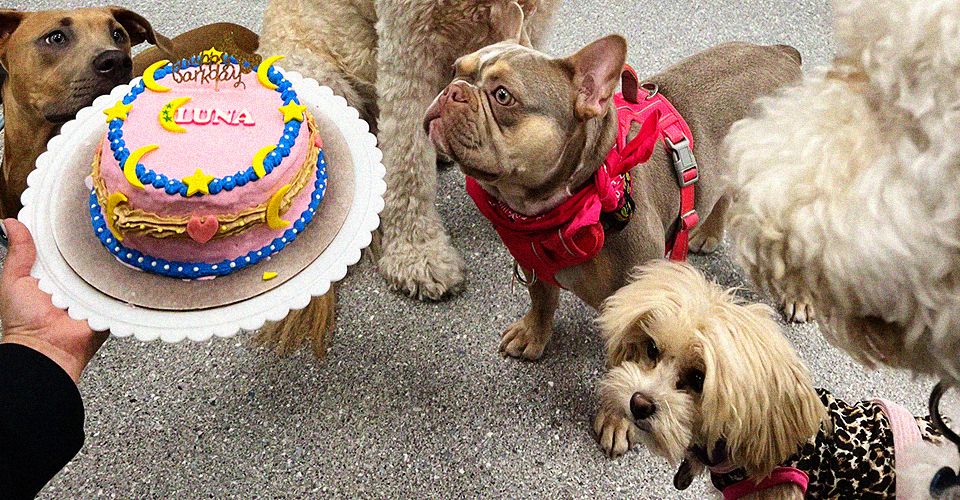 Image is not available